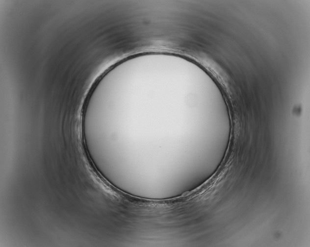 X0000098211238200805151245