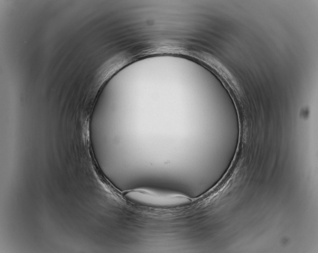 X0000098211241200805151245