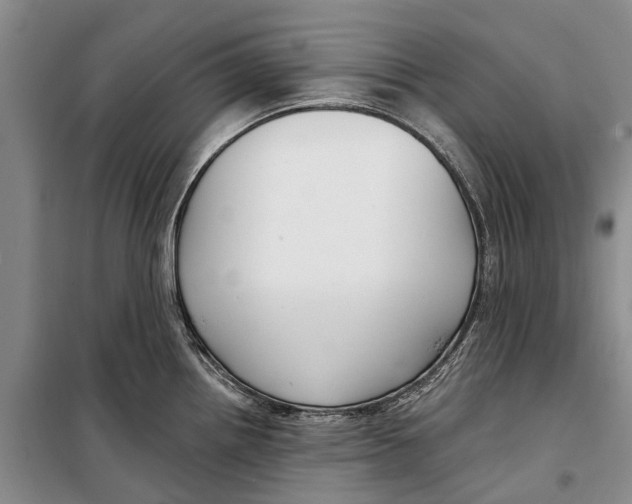 X0000098211242200805151245