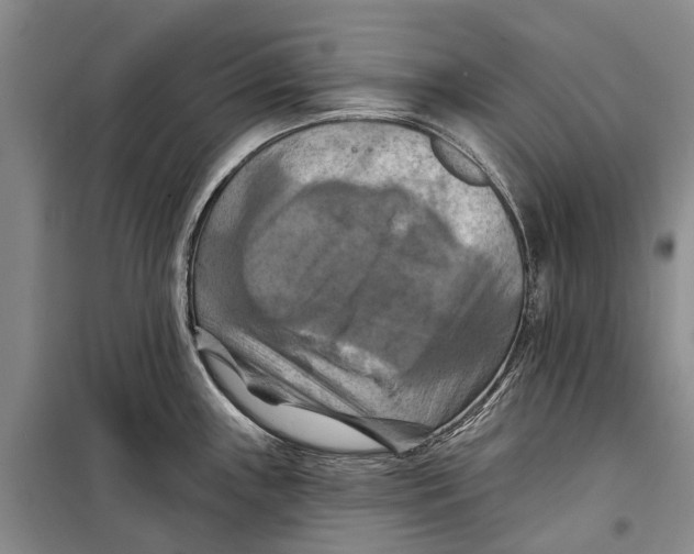 X0000098211243200805151245