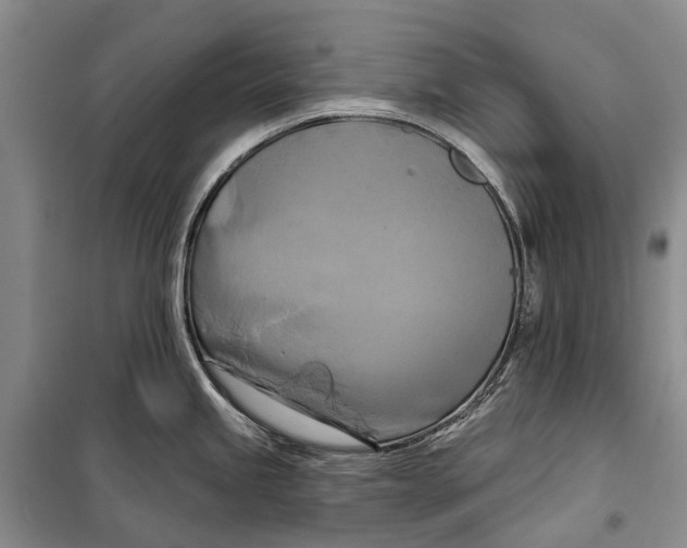 X0000098211245200805151245