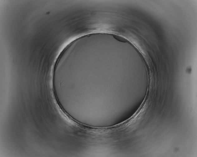 X0000098211246200805151245
