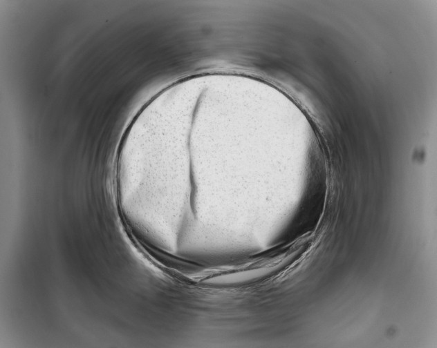 X0000098211247200805151245