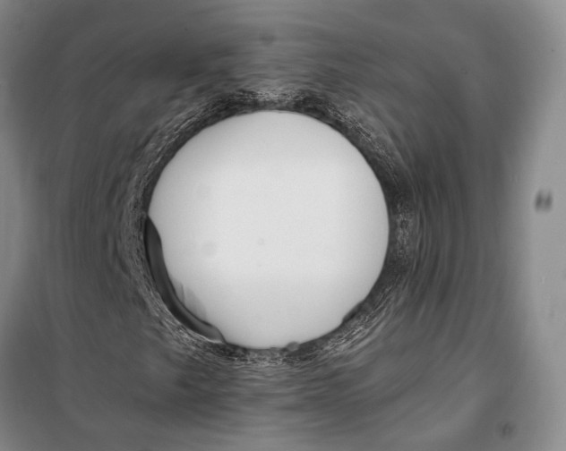 X0000098211249200805151244