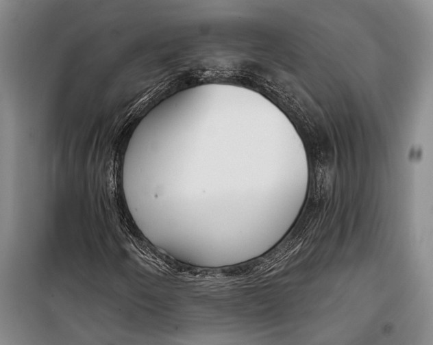 X0000098211250200805151244