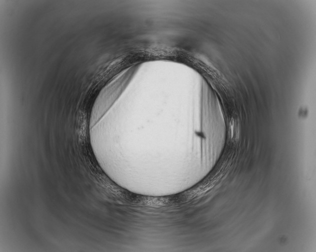 X0000098211251200805151244