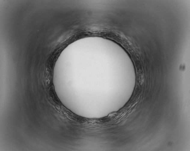 X0000098211253200805151244