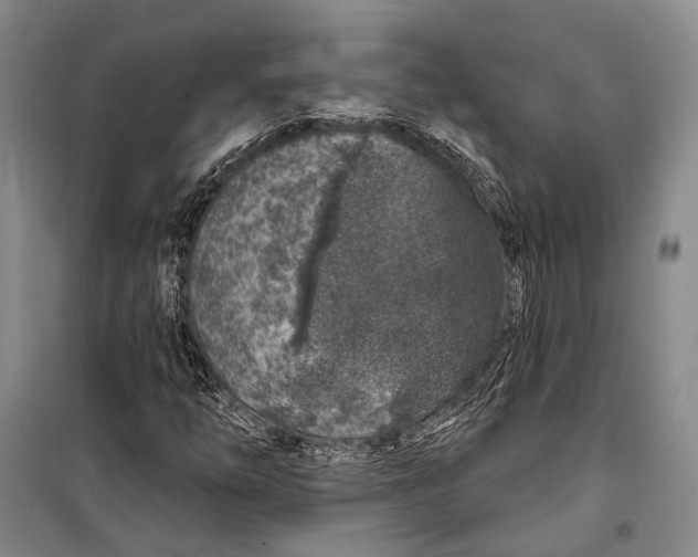 X0000098211254200805151244