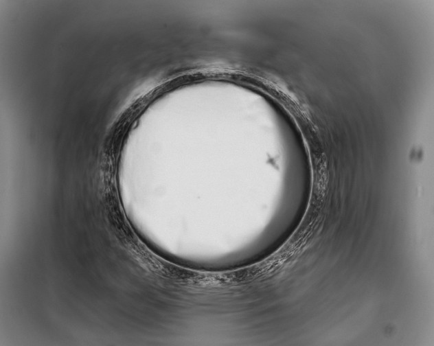 X0000098211255200805151244