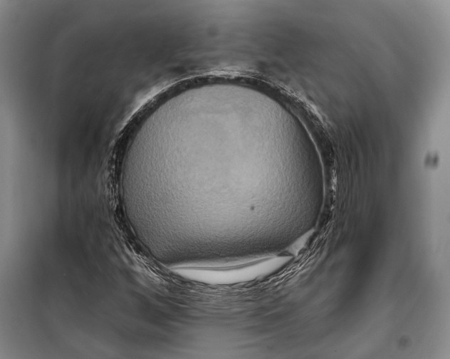 X0000098211256200805151244