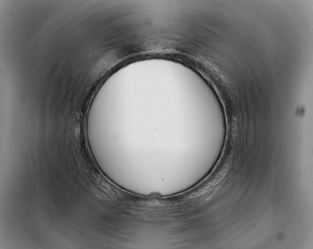 X0000098211257200805151244