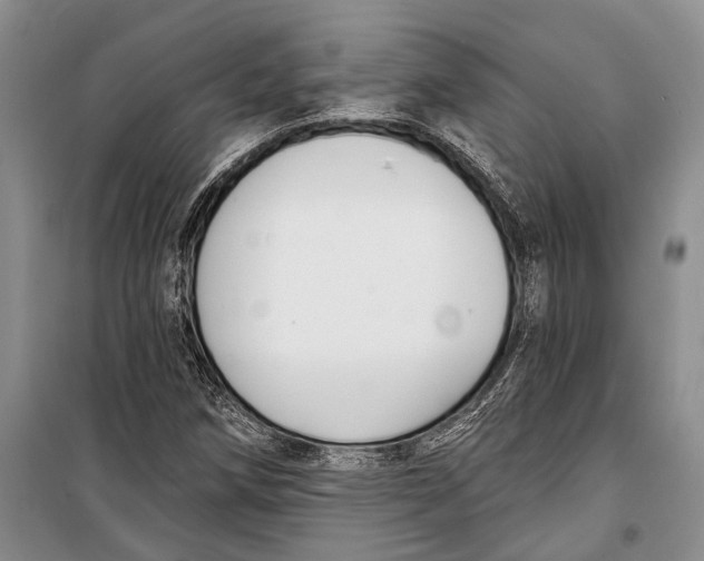 X0000098211258200805151244