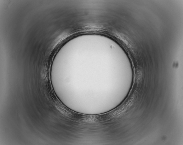 X0000098211259200805151244