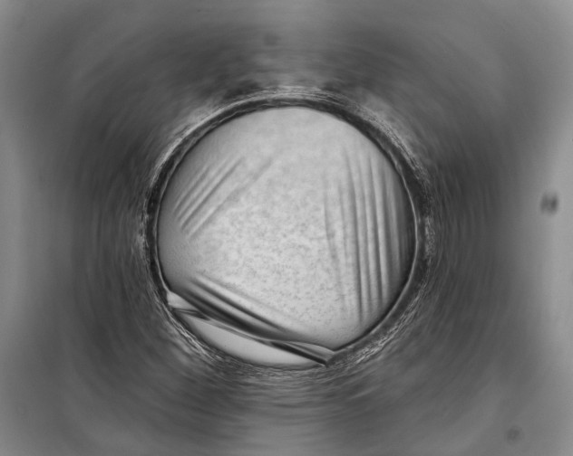 X0000098211260200805151244