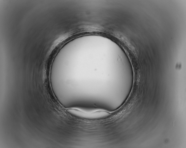 X0000098211261200805151244