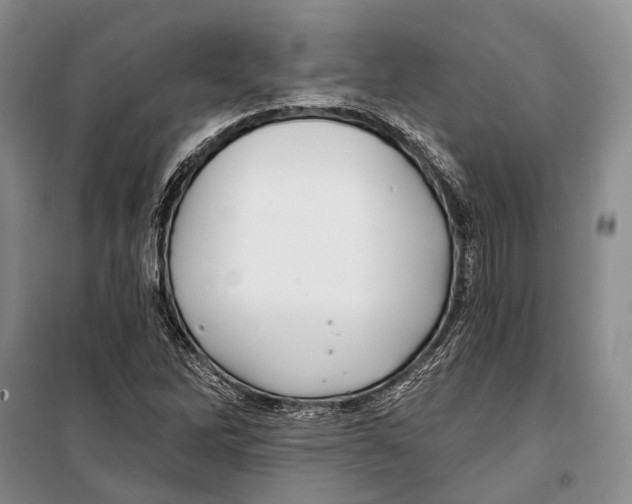X0000098211262200805151244