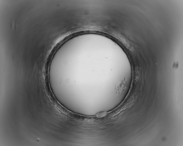 X0000098211264200805151244