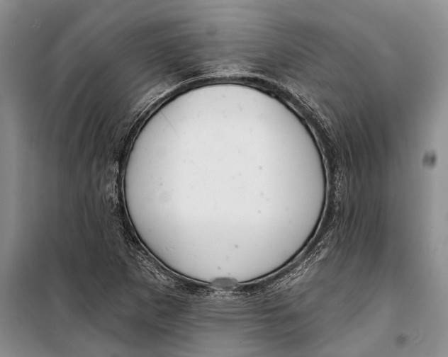 X0000098211265200805151244