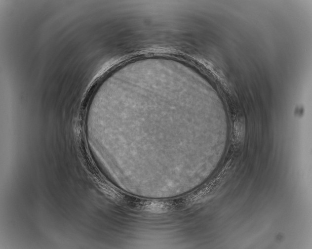 X0000098211266200805151244