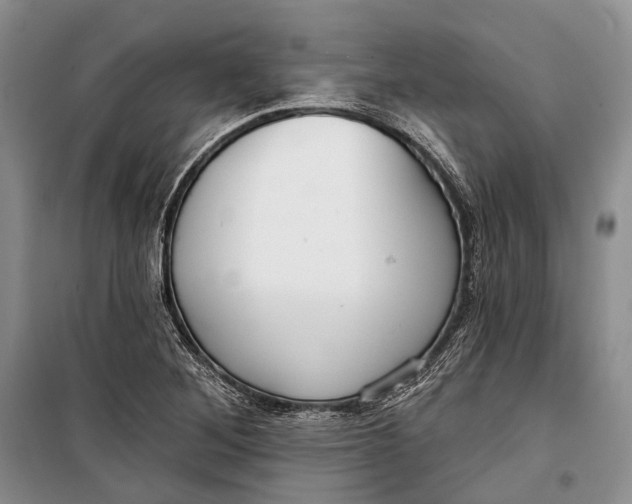 X0000098211268200805151244