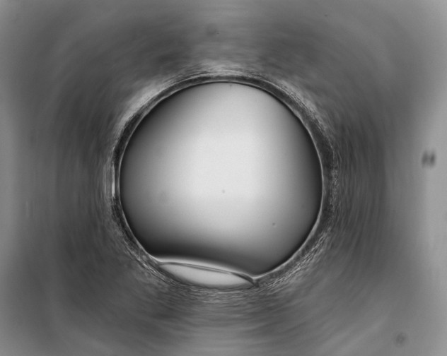 X0000098211269200805151244