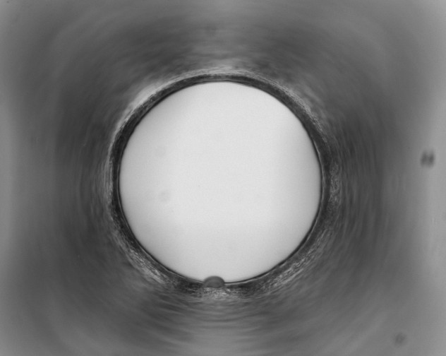X0000098211270200805151244