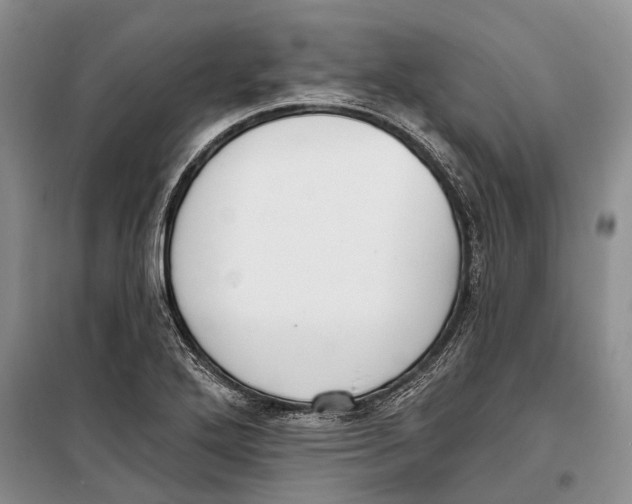 X0000098211272200805151244
