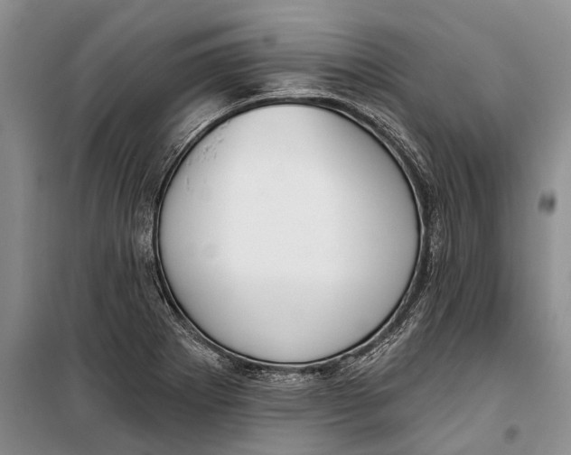 X0000098211273200805151244