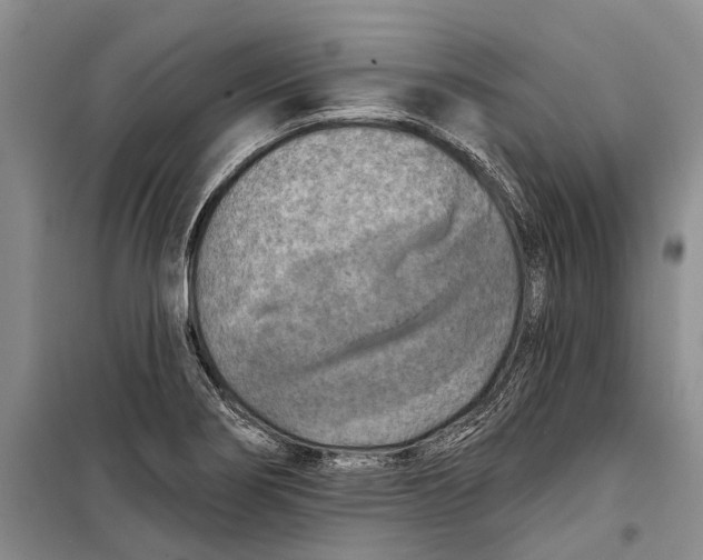 X0000098211274200805151244