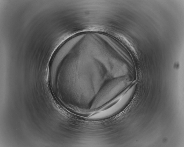 X0000098211276200805151243