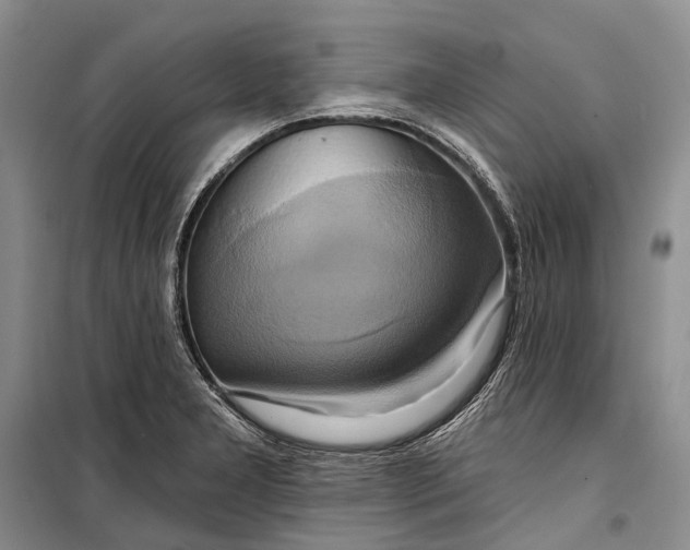 X0000098211277200805151243