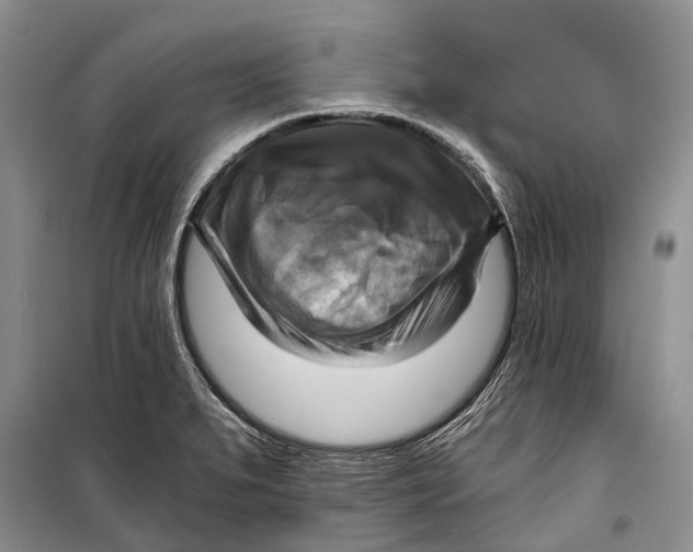 X0000098211279200805151243