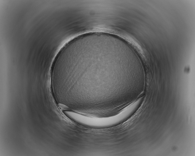 X0000098211280200805151243