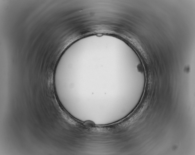 X0000098211281200805151243