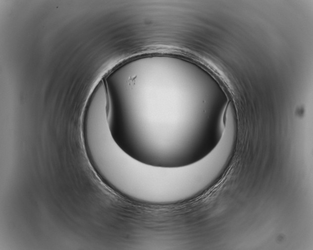 X0000098211283200805151243