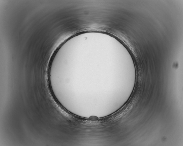 X0000098211285200805151243