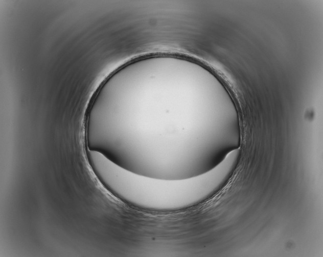 X0000098211287200805151243