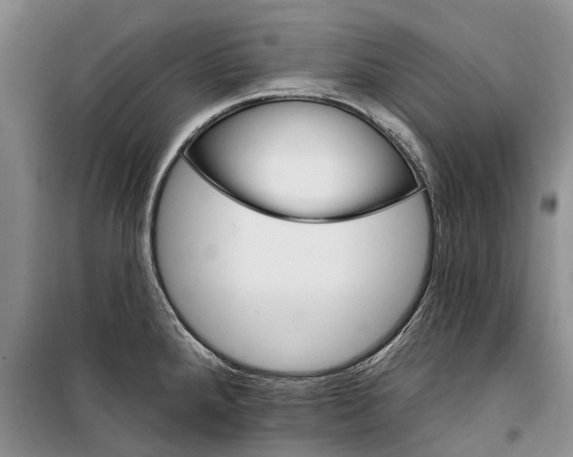 X0000098211288200805151243