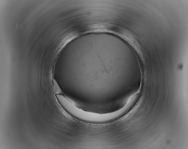 X0000098211289200805151243