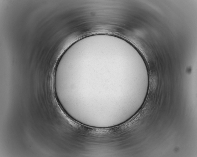 X0000098211290200805151243