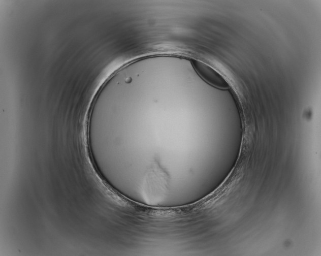 X0000098211291200805151243
