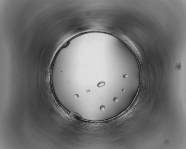X0000098211292200805151243