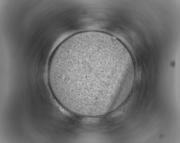 X0000098211294200805151243