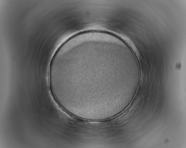 X0000098211295200805151243