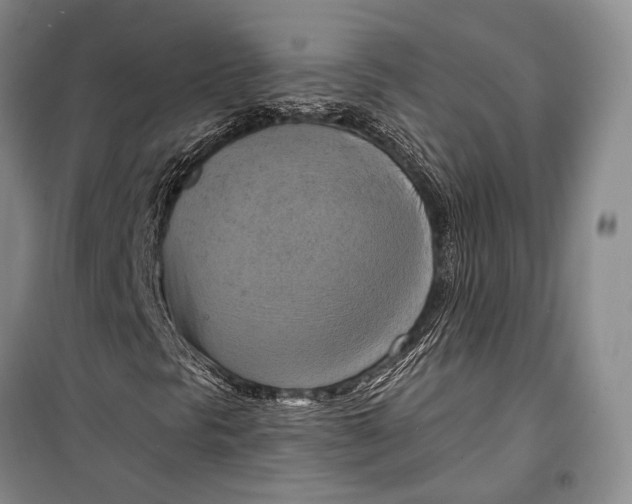 X0000098211297200805151242