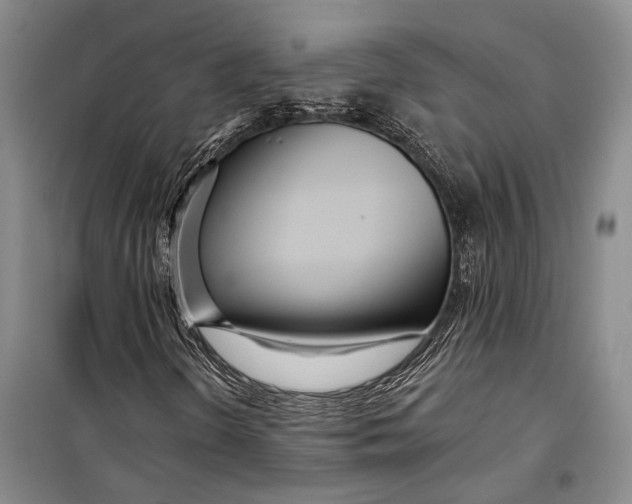 X0000098211298200805151242