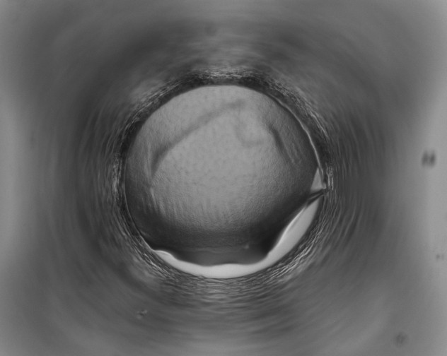 X0000098211300200805151242