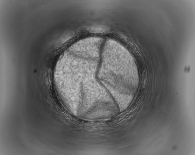 X0000098211301200805151242