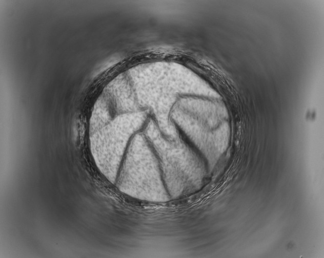 X0000098211302200805151242