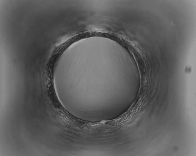 X0000098211303200805151242